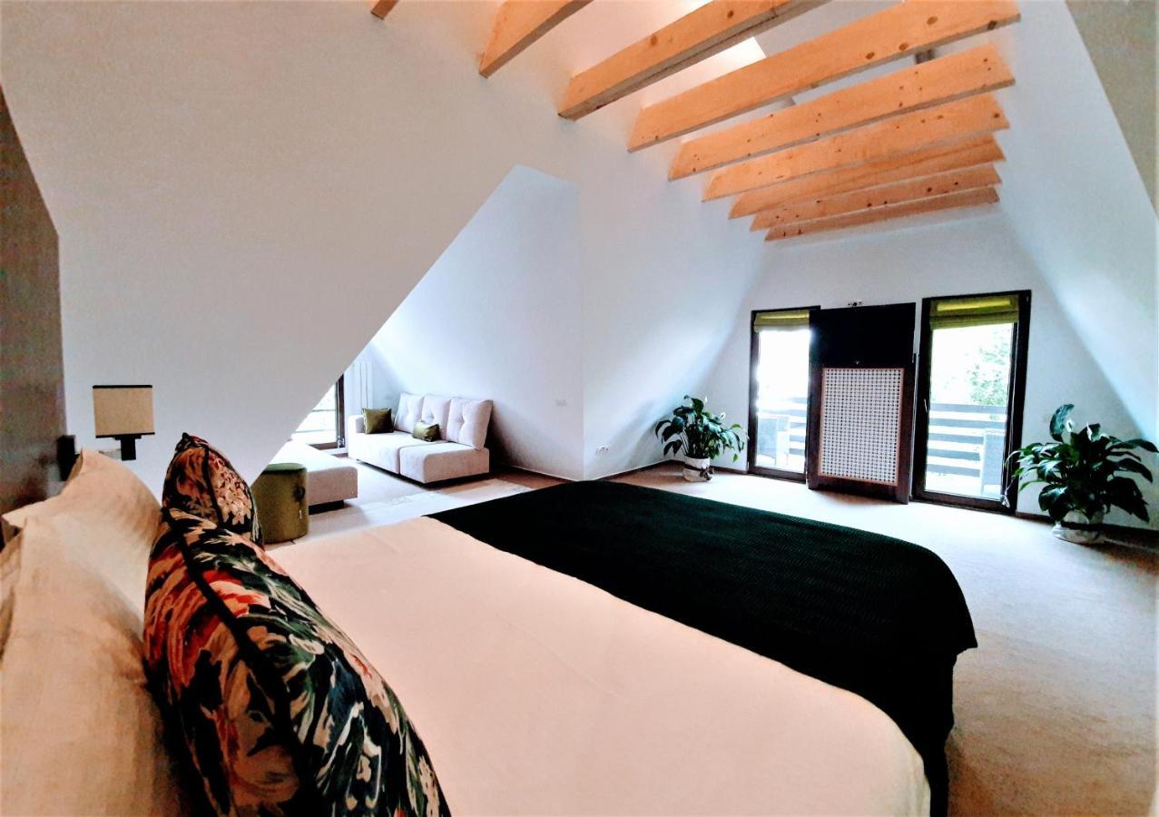 Casa Varful Cu Dor Синая Экстерьер фото